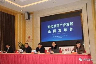 生活帮爆料黑茶新闻报道,黑茶市场乱象，真相曝光！  第1张