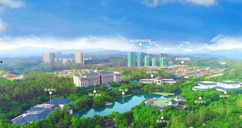 广东清远爆料案件最新,案情揭秘，真相渐浮水面  第3张