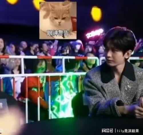 成毅爆料录音是真的吗视频,视频证据揭示真相  第3张