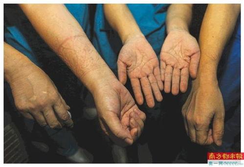 手的痕迹 在线观看,探寻历史与现实的痕迹奥秘 第2张 手的痕迹 在线观看,探寻历史与现实的痕迹奥秘 第2张