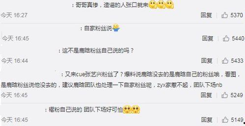 央视爆料粉条视频在线观看,粉条制作全过程，在线观看惊心动魄一幕  第2张